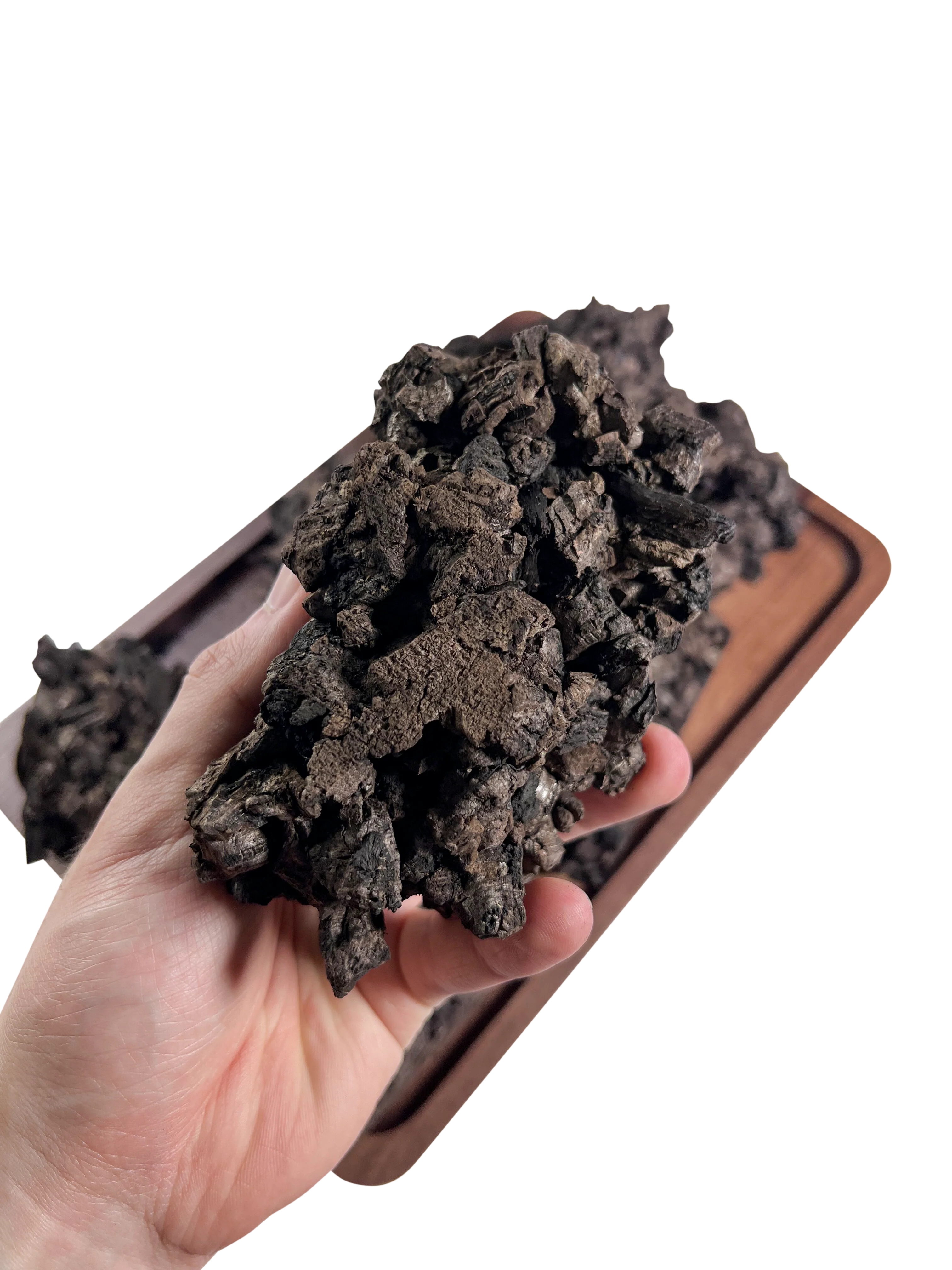 Carbonized Charcoal Cork Chunks - Image 7