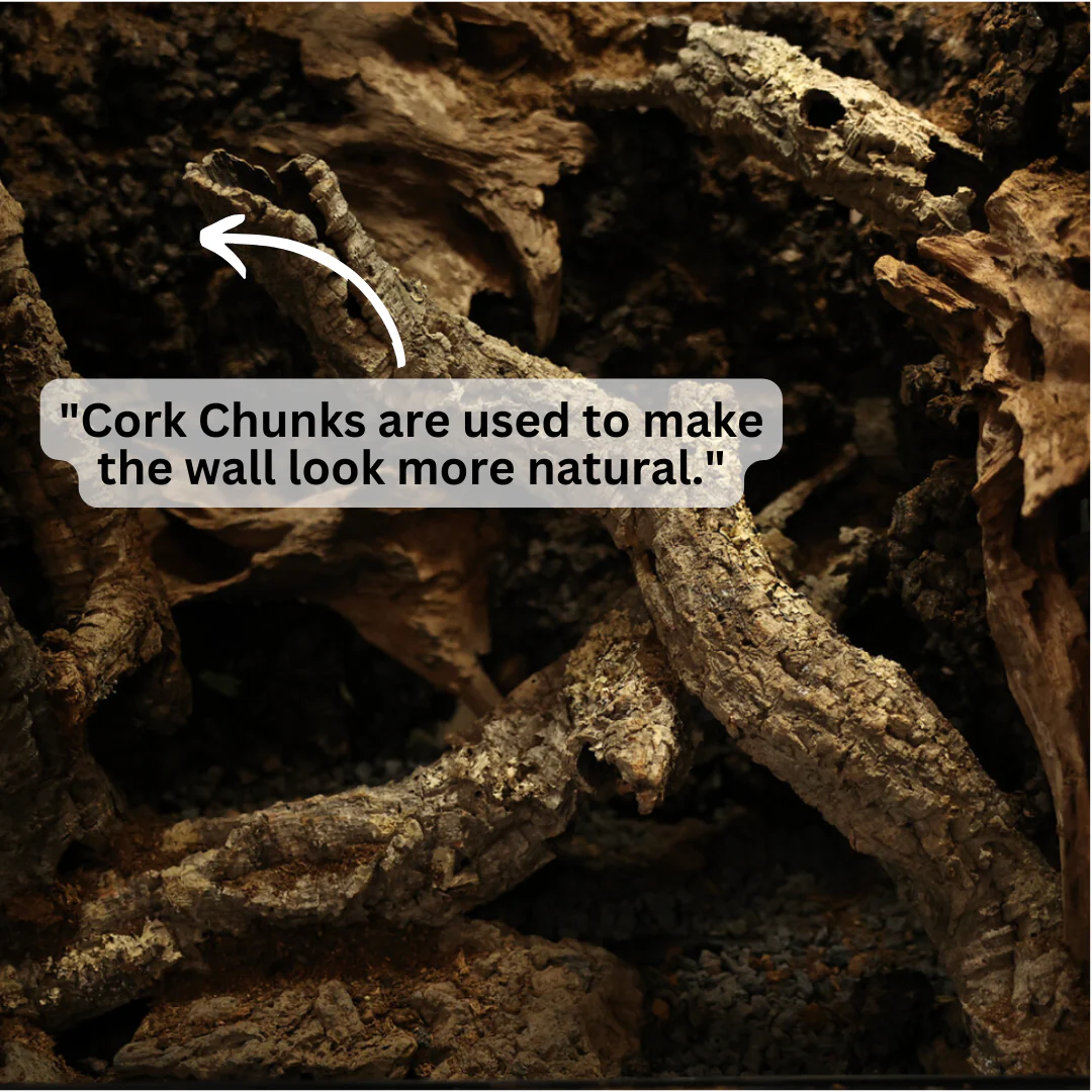 Carbonized Charcoal Cork Chunks - Image 3