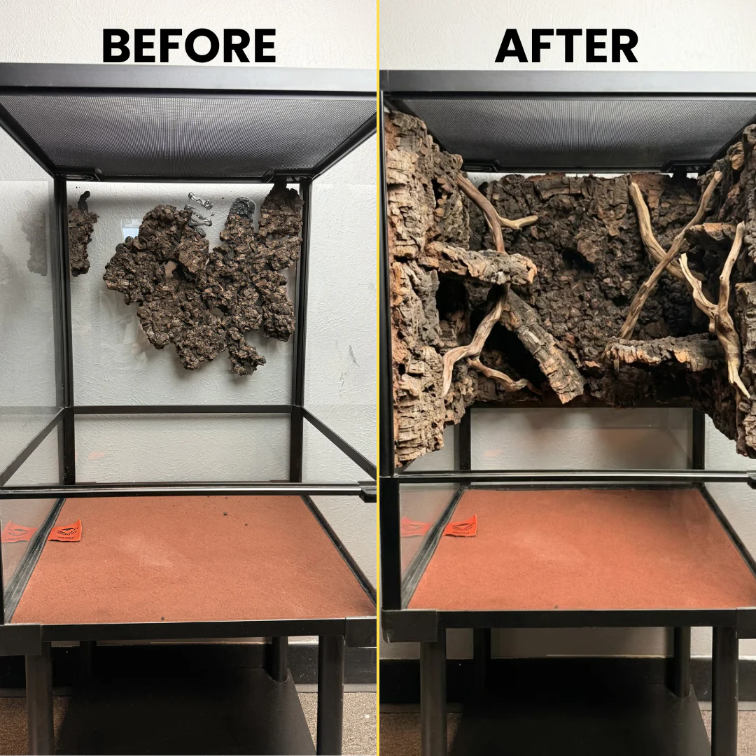 Carbonized Charcoal Cork Chunks - Image 5