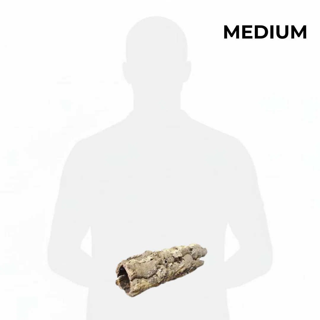 Cork Bark Tube - Image 4