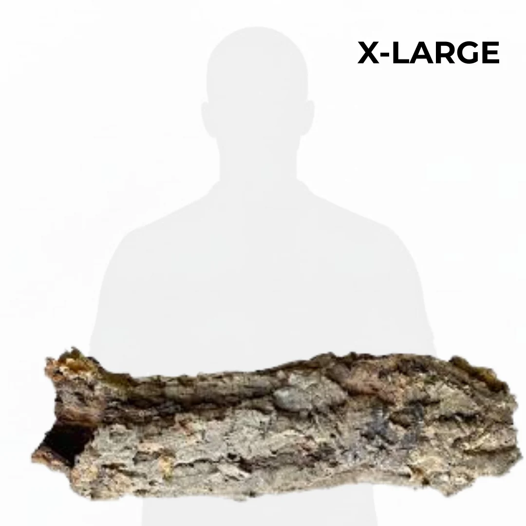 Cork Bark Tube - Image 6