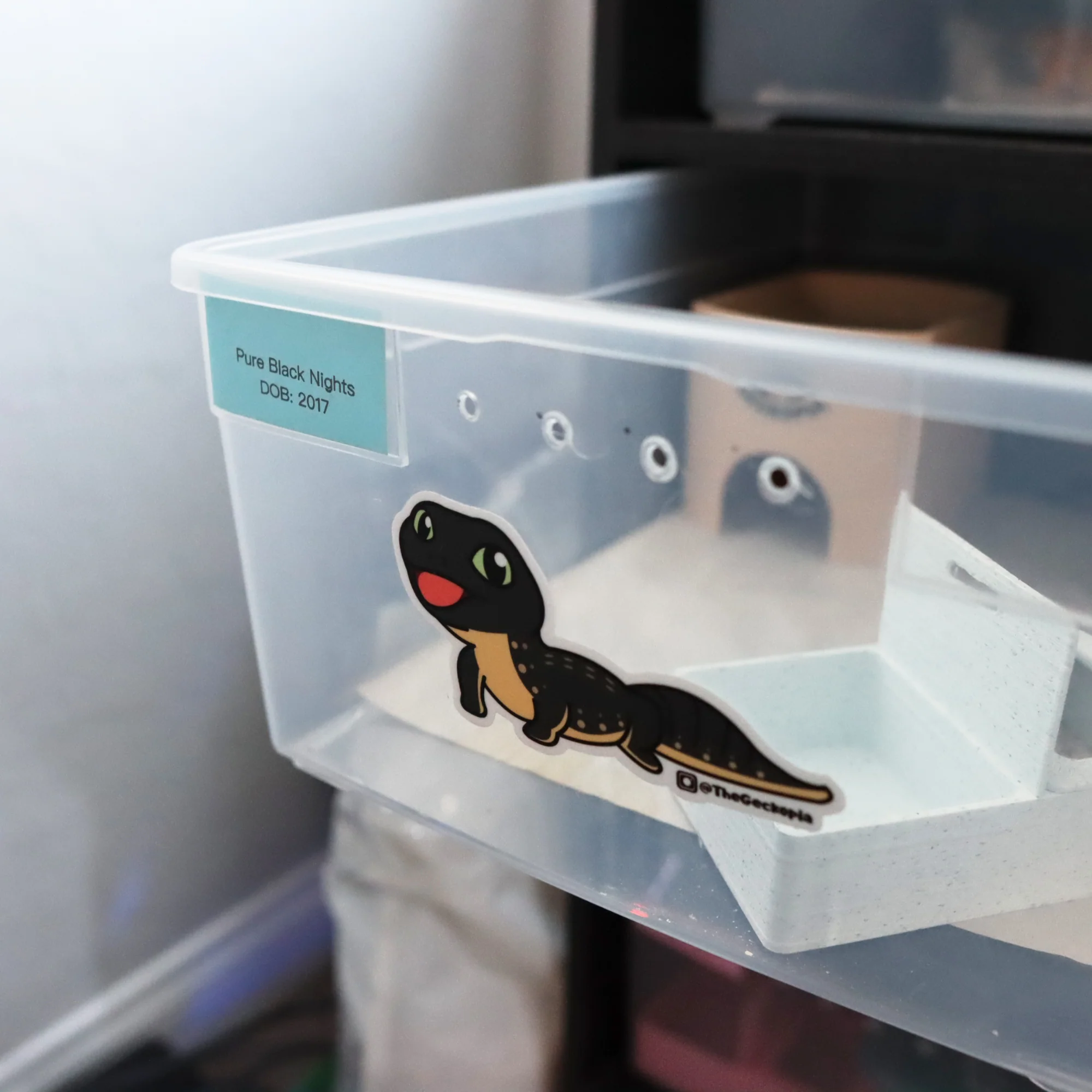 Leopard Gecko Morph Sticker/ Decals - Image 4