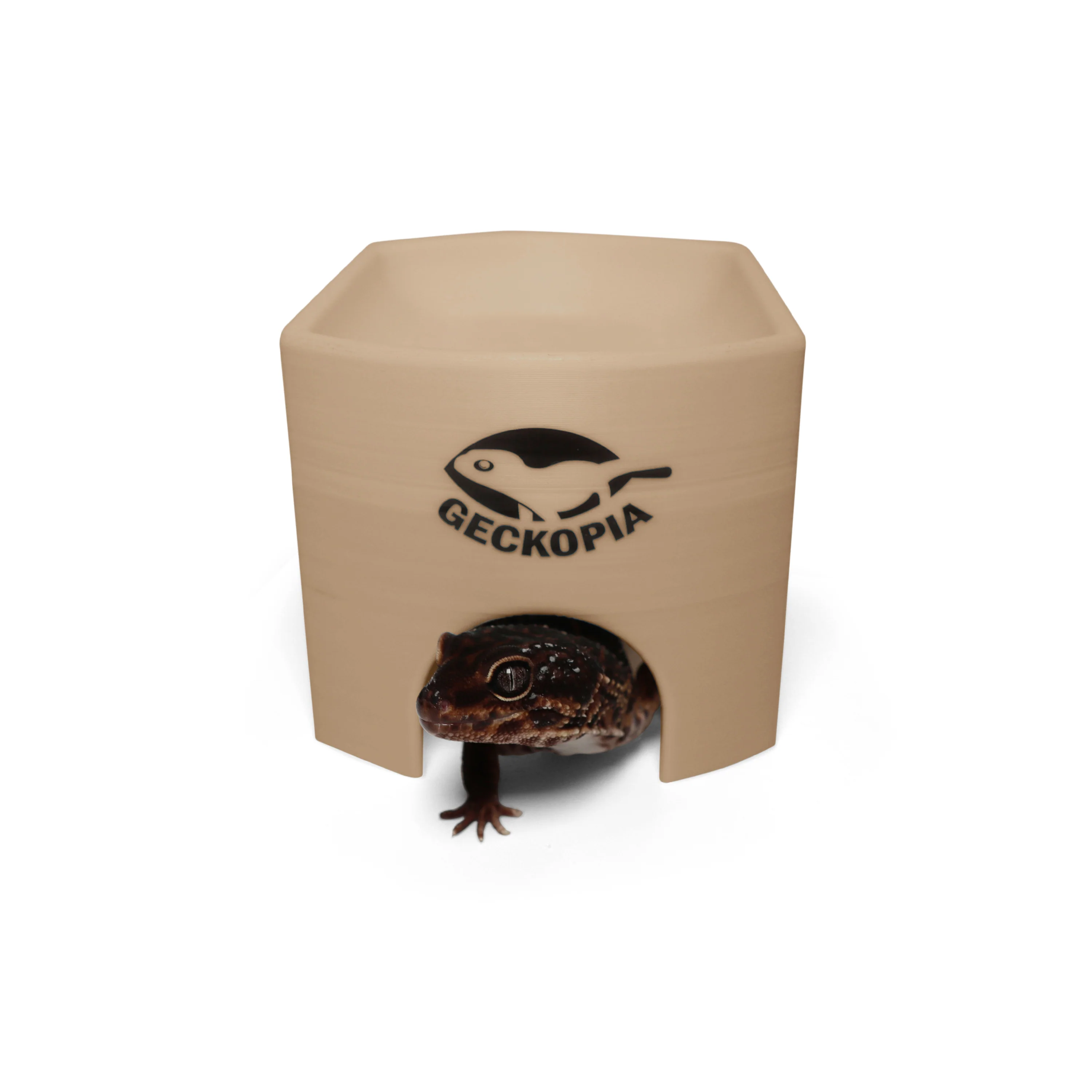 Gecko Place - Image 5