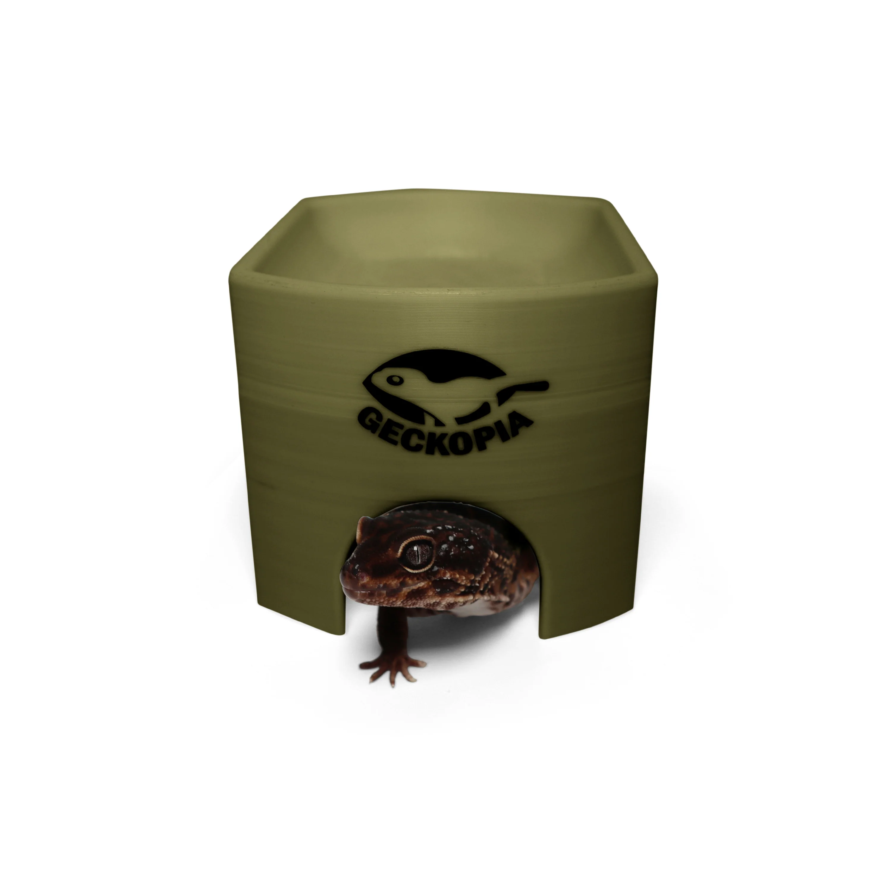 Gecko Place - Image 6