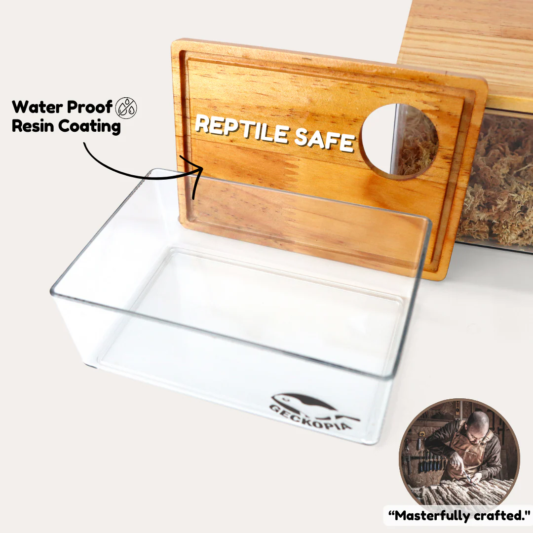 Geckopia Dig Box - Image 3