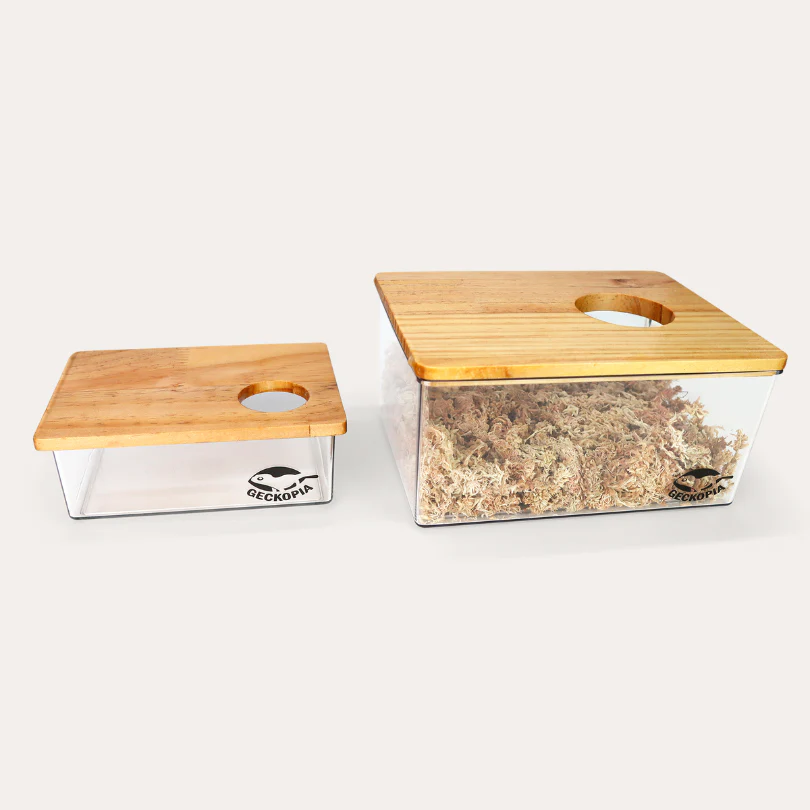 Geckopia Dig Box - Image 6