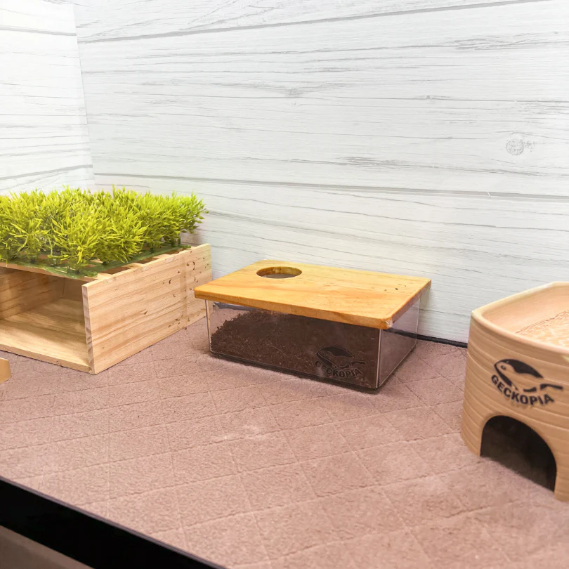 Geckopia Dig Box - Image 7