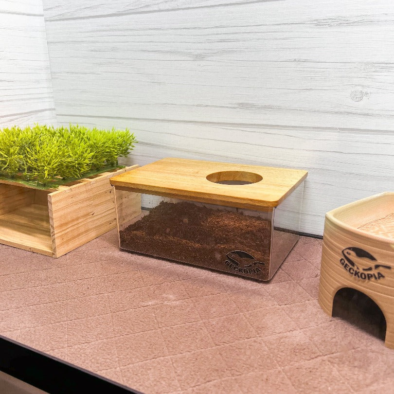 Geckopia Dig Box - Image 8