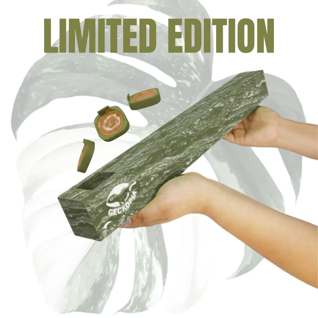 Flex Bridge - Image 12