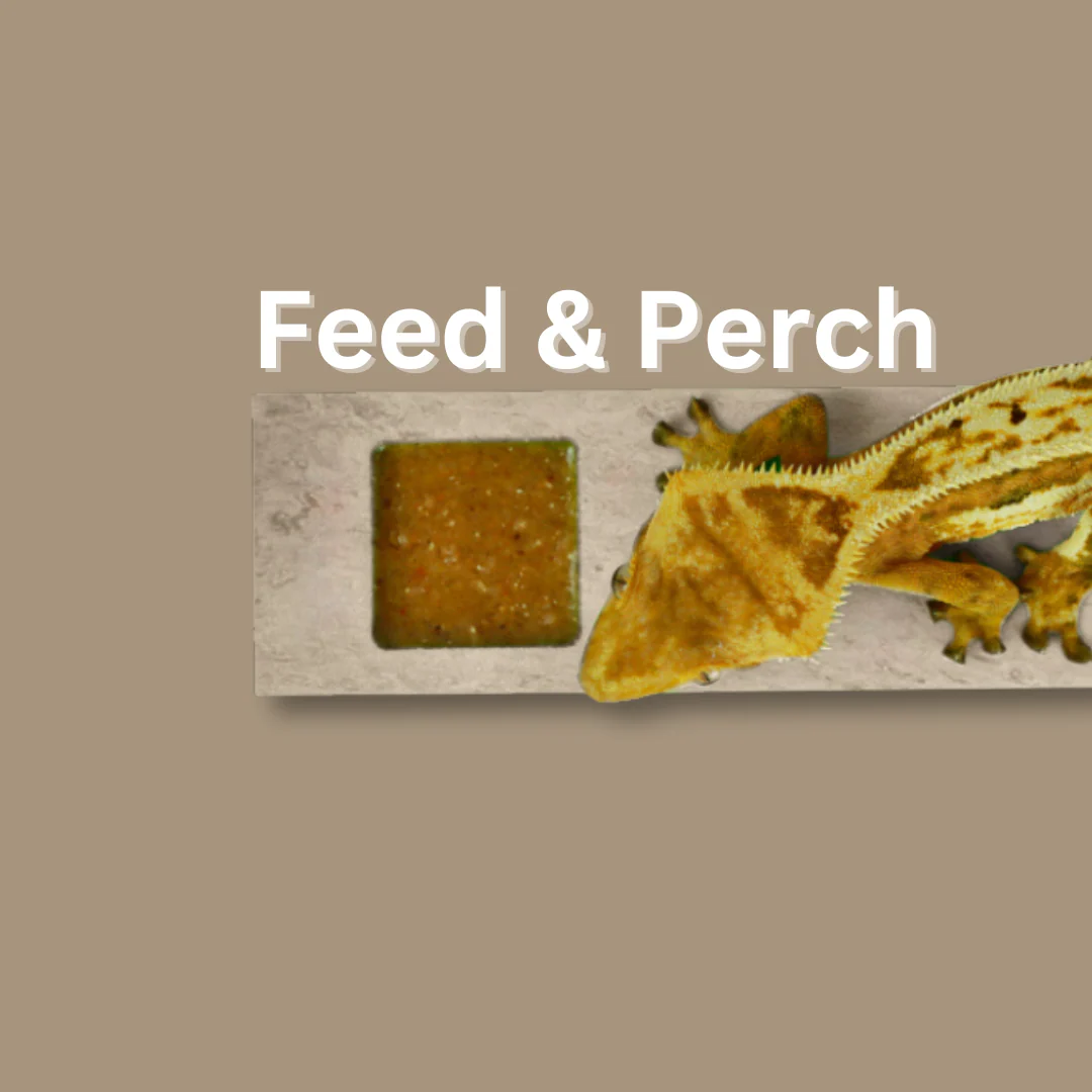 Geckopia Reptile Flex Bridges (Large - 36") - Image 6