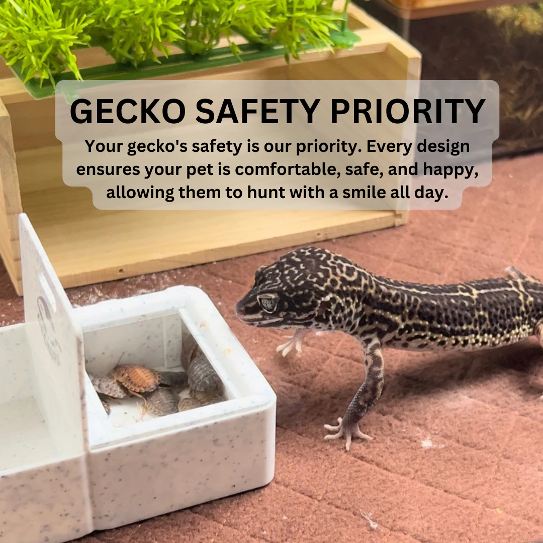 Reptile Triple Dish - Image 6