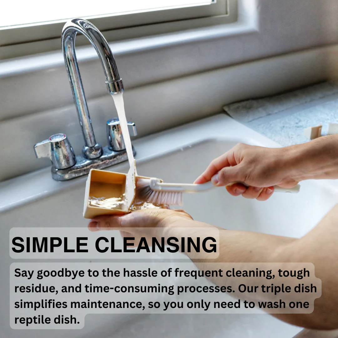 Reptile Triple Dish - Image 7