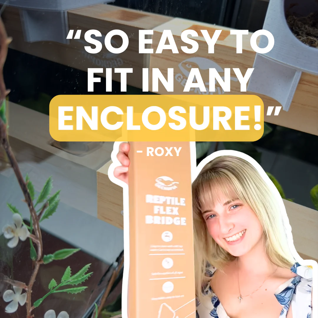 Flex Bridge - Image 11