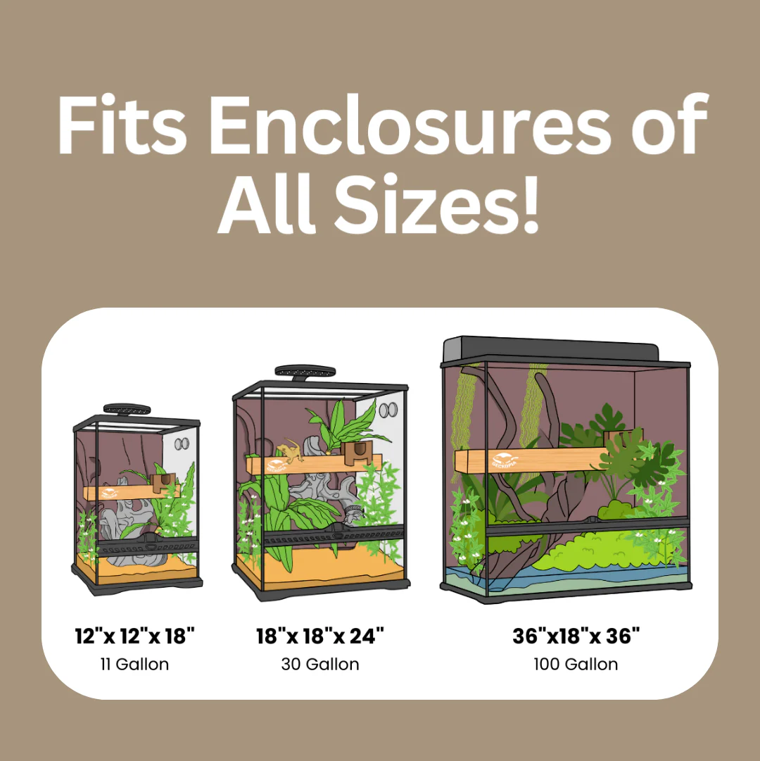 Flex Bridge - Image 3