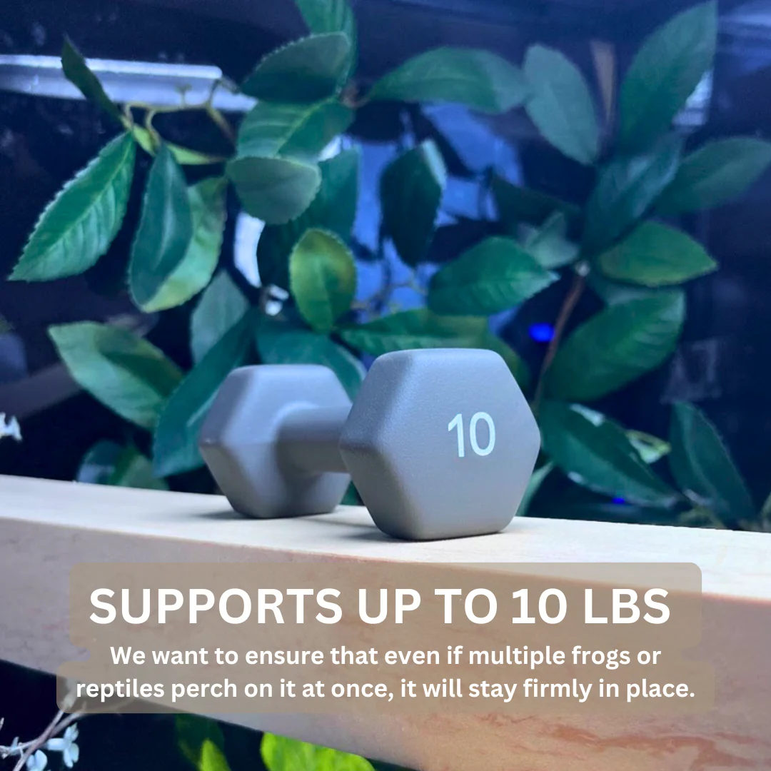 Flex Bridge - Image 4