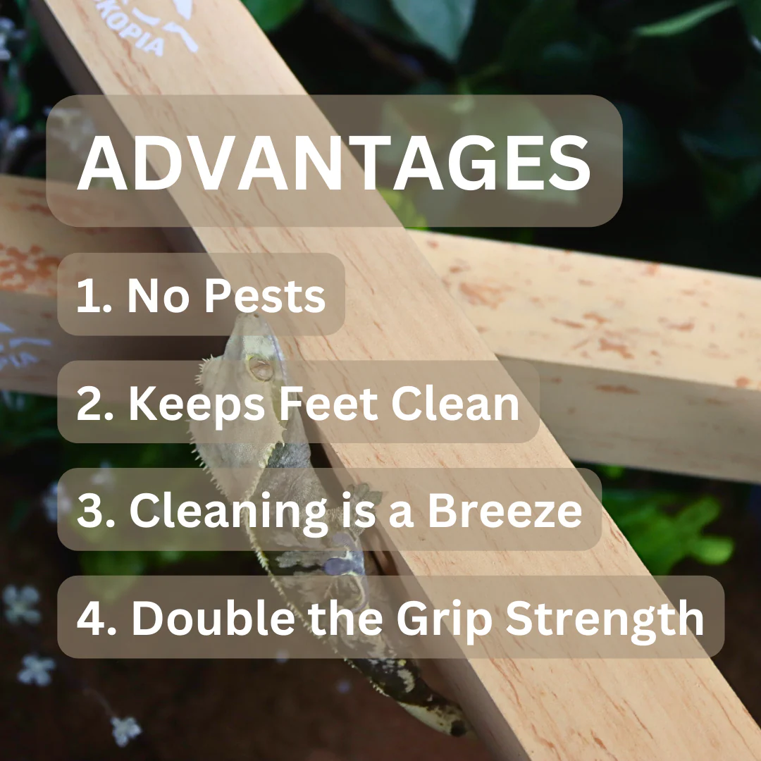 Flex Bridge - Image 5