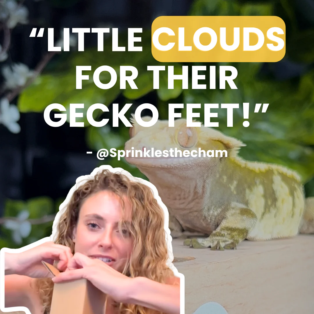 Flex Bridge - Image 10